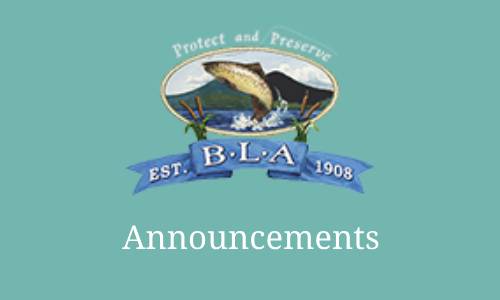 2025 Audubon Loon Count