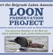 Loon Preservation Project