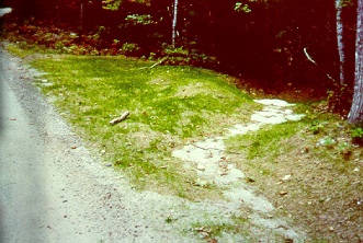Camp Road Water Damage