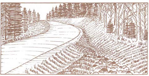 Camp Road Runoff